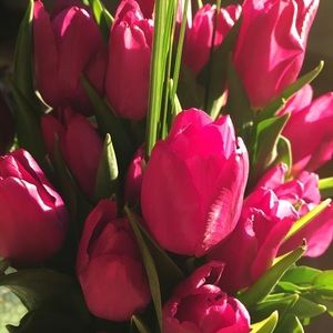 Meet your Posher, Lynee